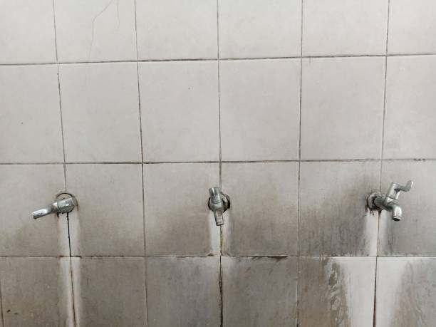Best Emergency water extraction  in Horse Shoe, NC